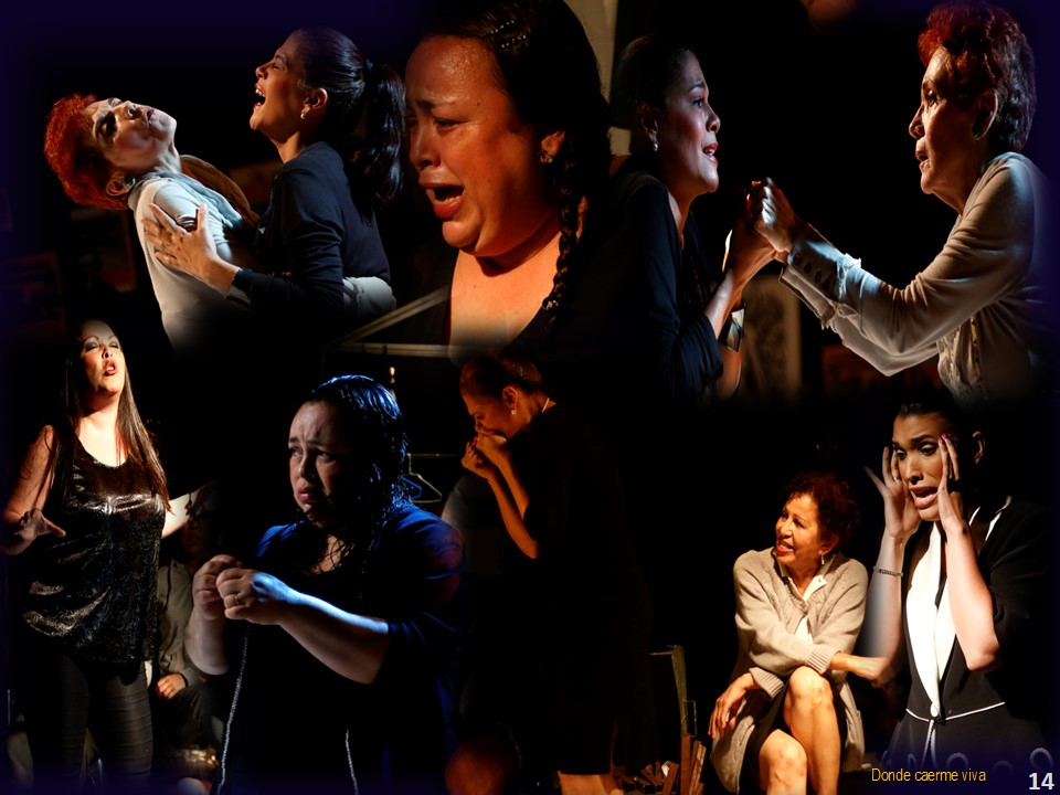 Donde caerme viva. Dirección Costa Palamides